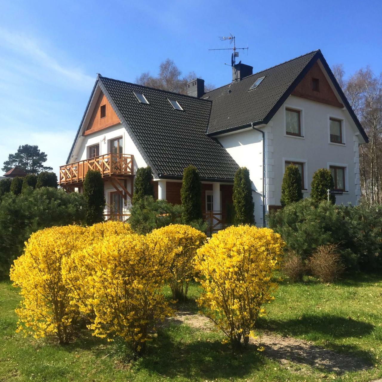 Marea Ustka